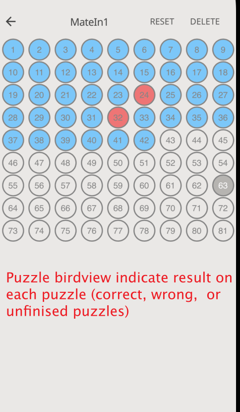 puzzle-tracking-1