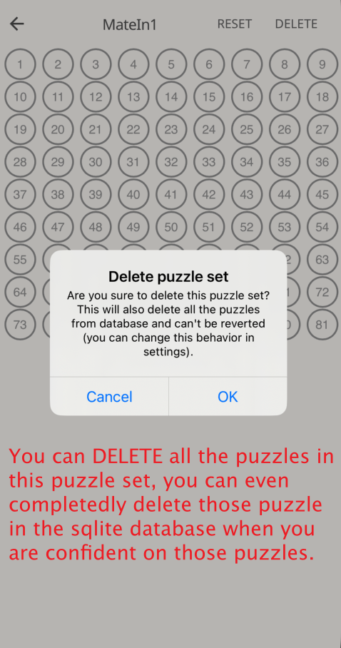 puzzle-tracking-3